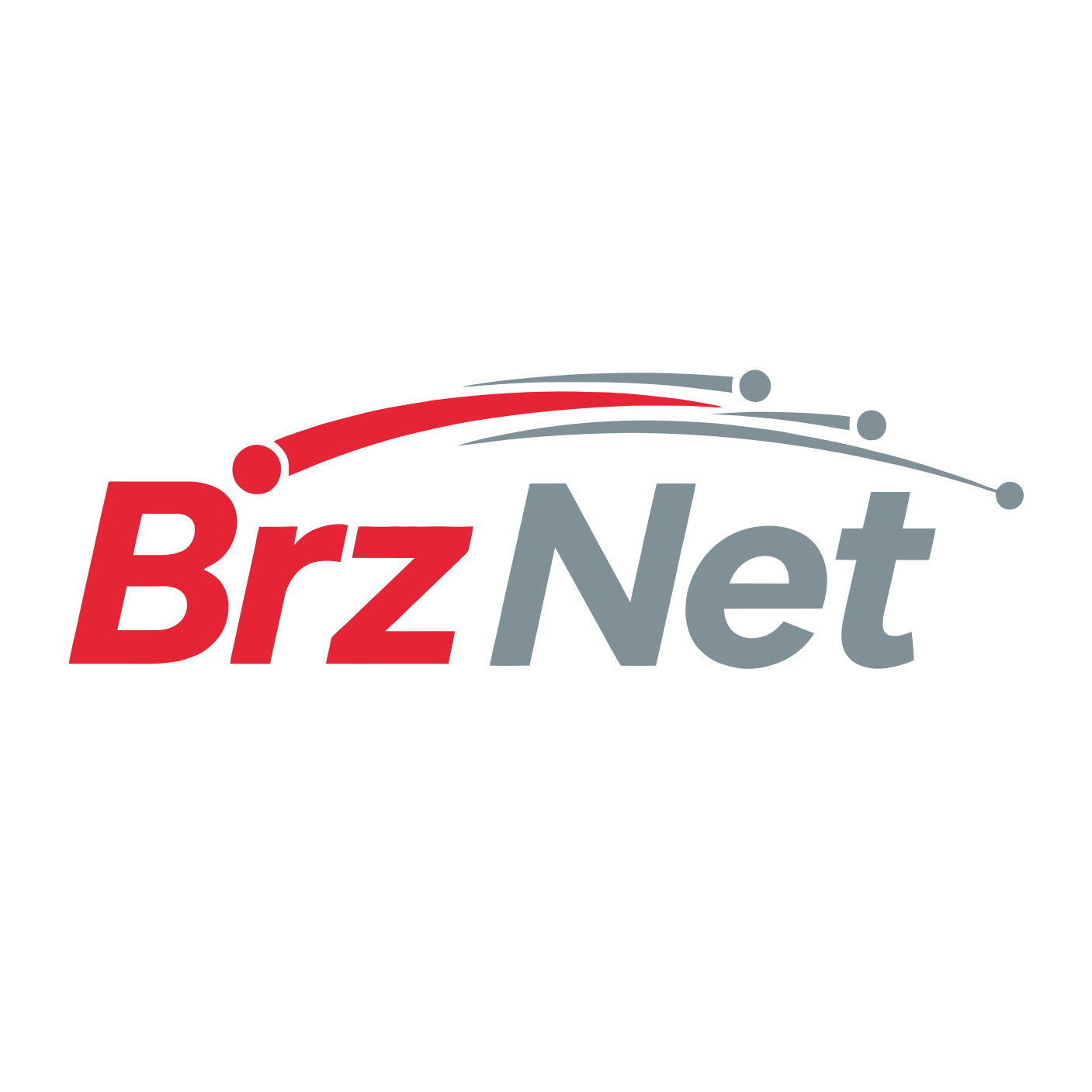 BIZNET DOO